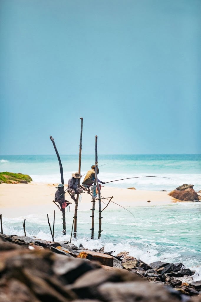 Sri Lanka Tours