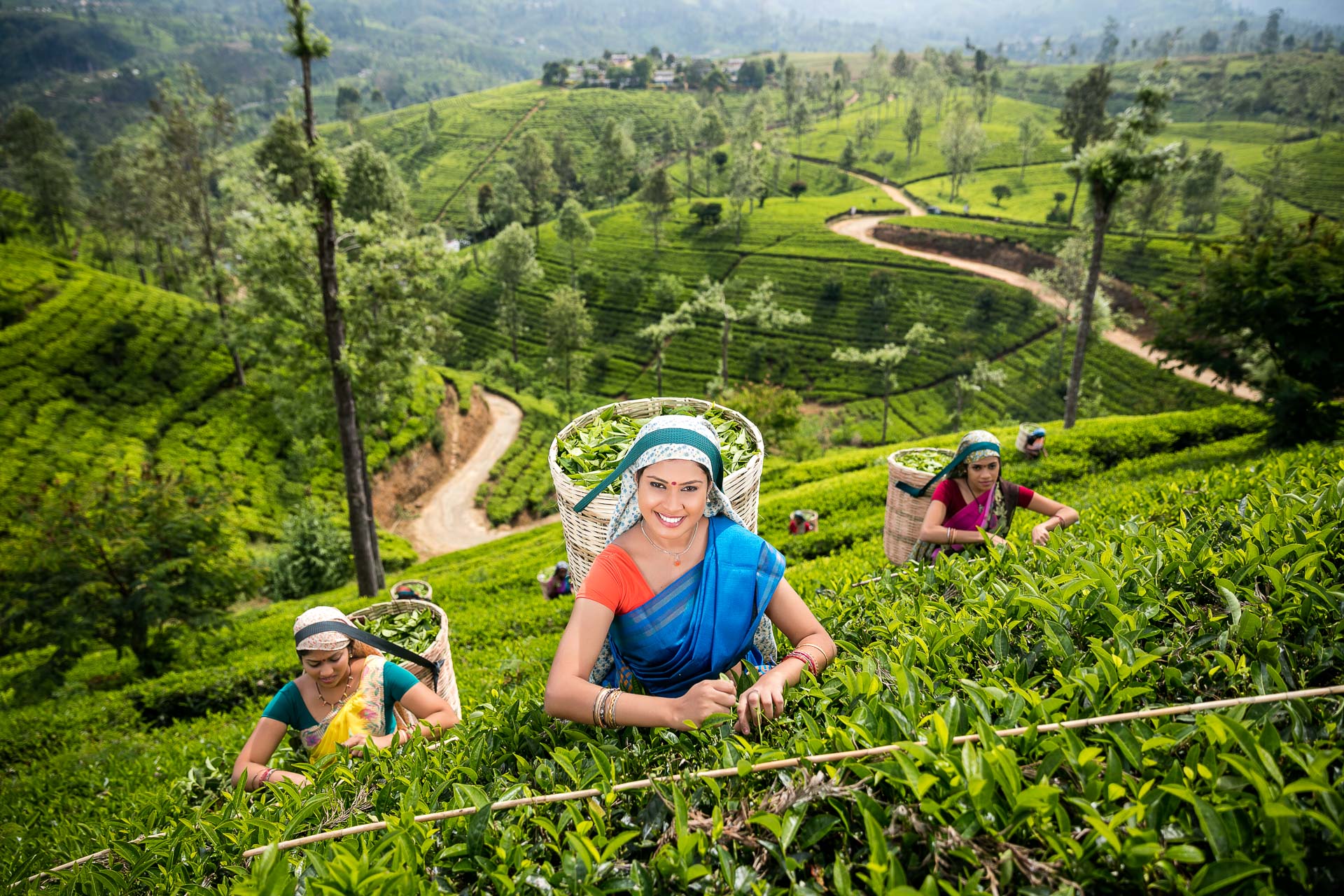 Sri Lanka in 6 Days 8 Taxi service