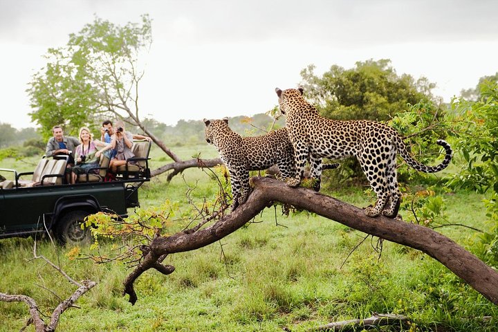 Hambantota Taxi Cab service 4 Yala National Park safari from Hambantota