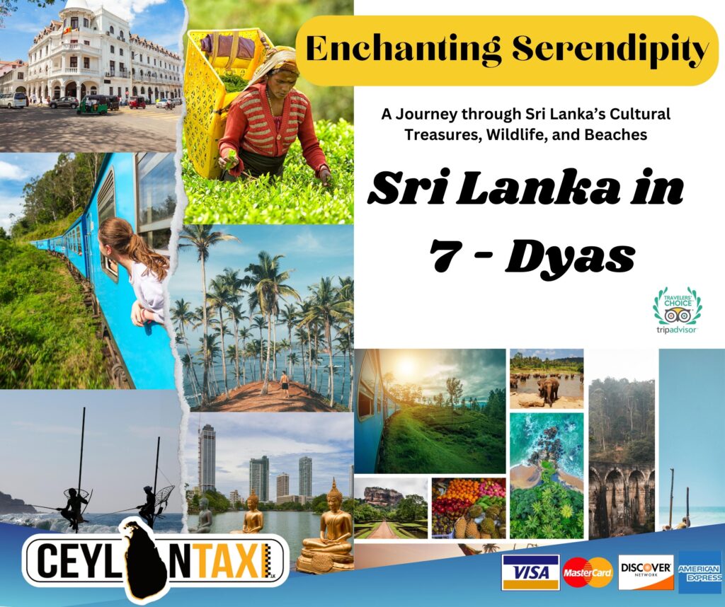 Enchanting Serendipity: A Journey through Sri Lanka's Cultural Treasures, Wildlife, and Beaches 