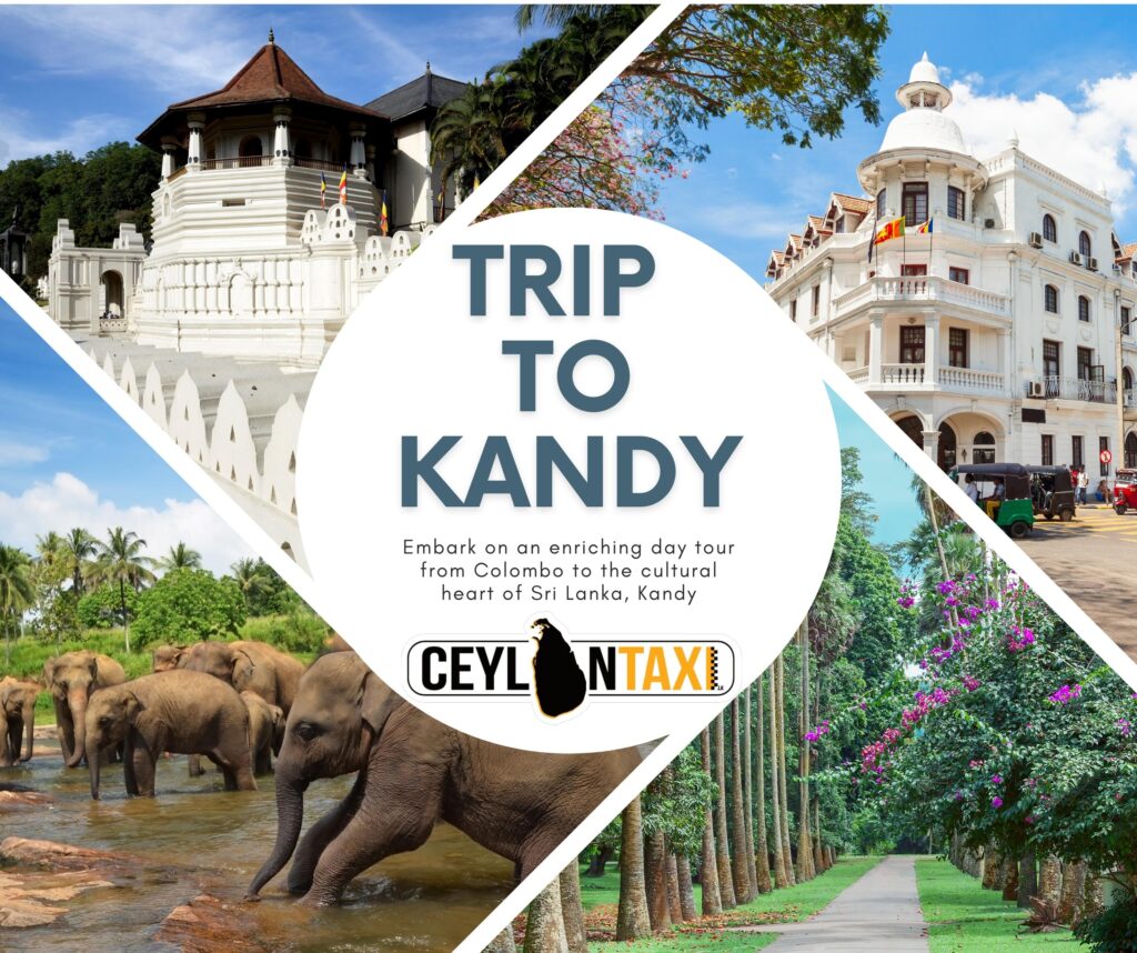 Kandy Day Tour from Colombo | The No 1 Best with Ceylon Taxi