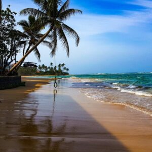 Palm trees on Hikkaduwa beach