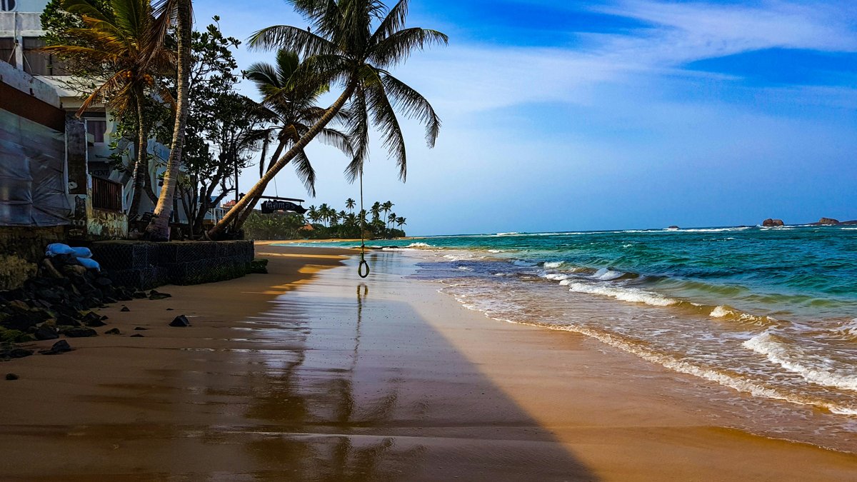 Palm trees on Hikkaduwa beach